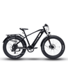 Bodywel D6 Fat Tire Touring Ebike - Long Range - Bodywel_US