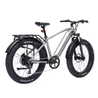 Bodywel D6 Fat Tire Touring Ebike - Long Range - Bodywel_US