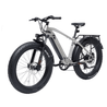 Bodywel D6 Fat Tire Touring Ebike - Long Range - Bodywel_US