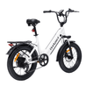 Bodywel F20 Fat Tire Touring Ebike - Bodywel_US