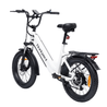 Bodywel F20 Fat Tire Touring Ebike - Bodywel_US