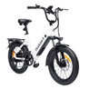 Bodywel F20 Fat Tire Touring Ebike - Bodywel_US