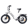 Bodywel F20 Fat Tire Touring Ebike - Bodywel_US