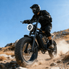 Bodywel M16 Fat Tire E - Bike - Bodywel_US