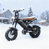 Bodywel M16 Fat Tire E - Bike - Bodywel_US
